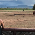 Il Kenya come ogni viaggio ti cambia, non si torna mai come si è partiti