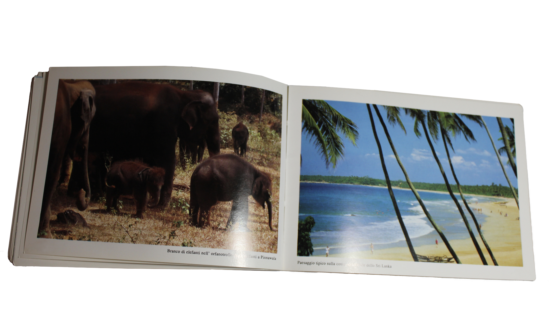 Sri Lanka11