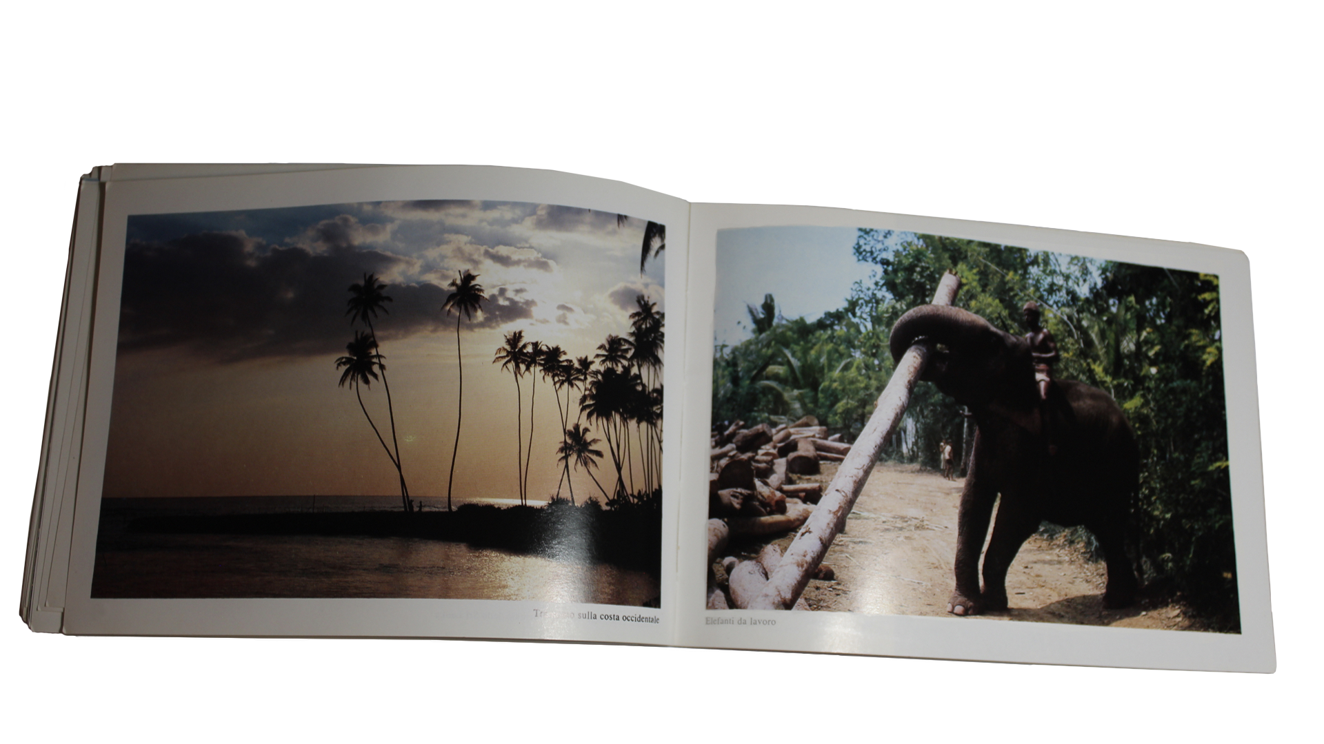 Sri Lanka14
